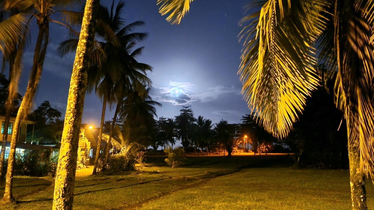 Hotel Wildlife Art Tortuguero Exteriér fotografie