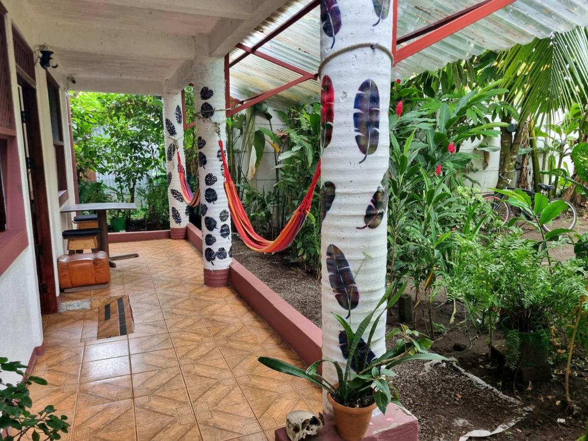 Hotel Wildlife Art Tortuguero Exteriér fotografie
