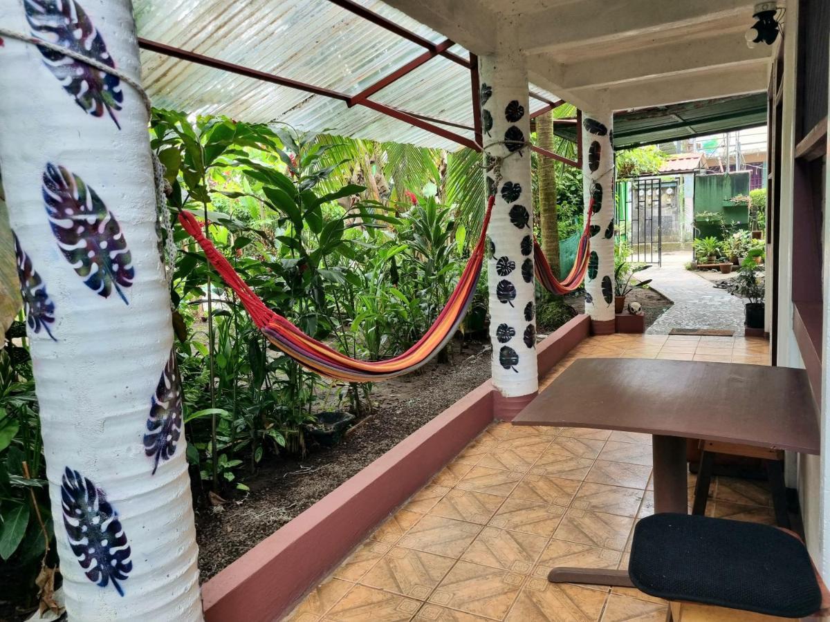 Hotel Wildlife Art Tortuguero Exteriér fotografie
