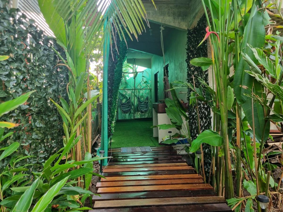 Hotel Wildlife Art Tortuguero Exteriér fotografie