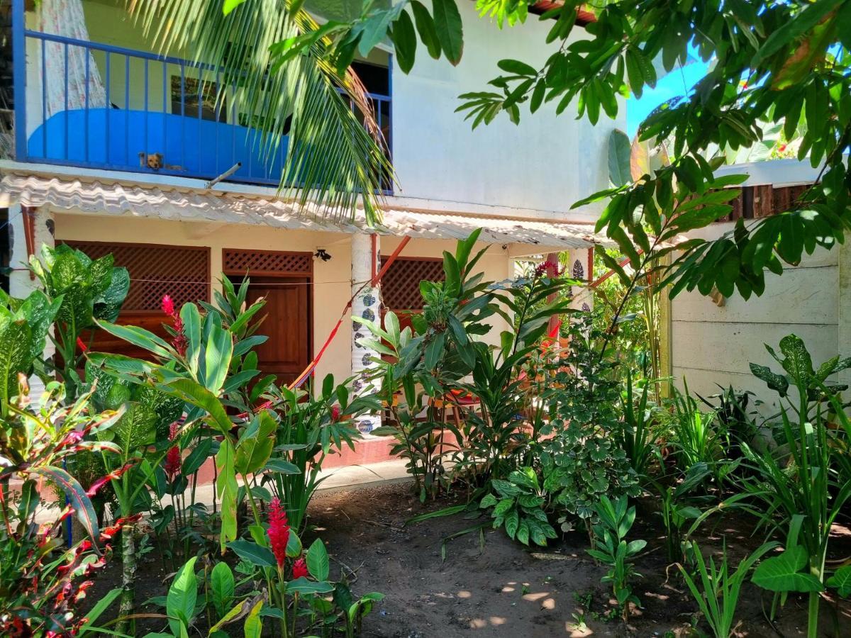 Hotel Wildlife Art Tortuguero Exteriér fotografie
