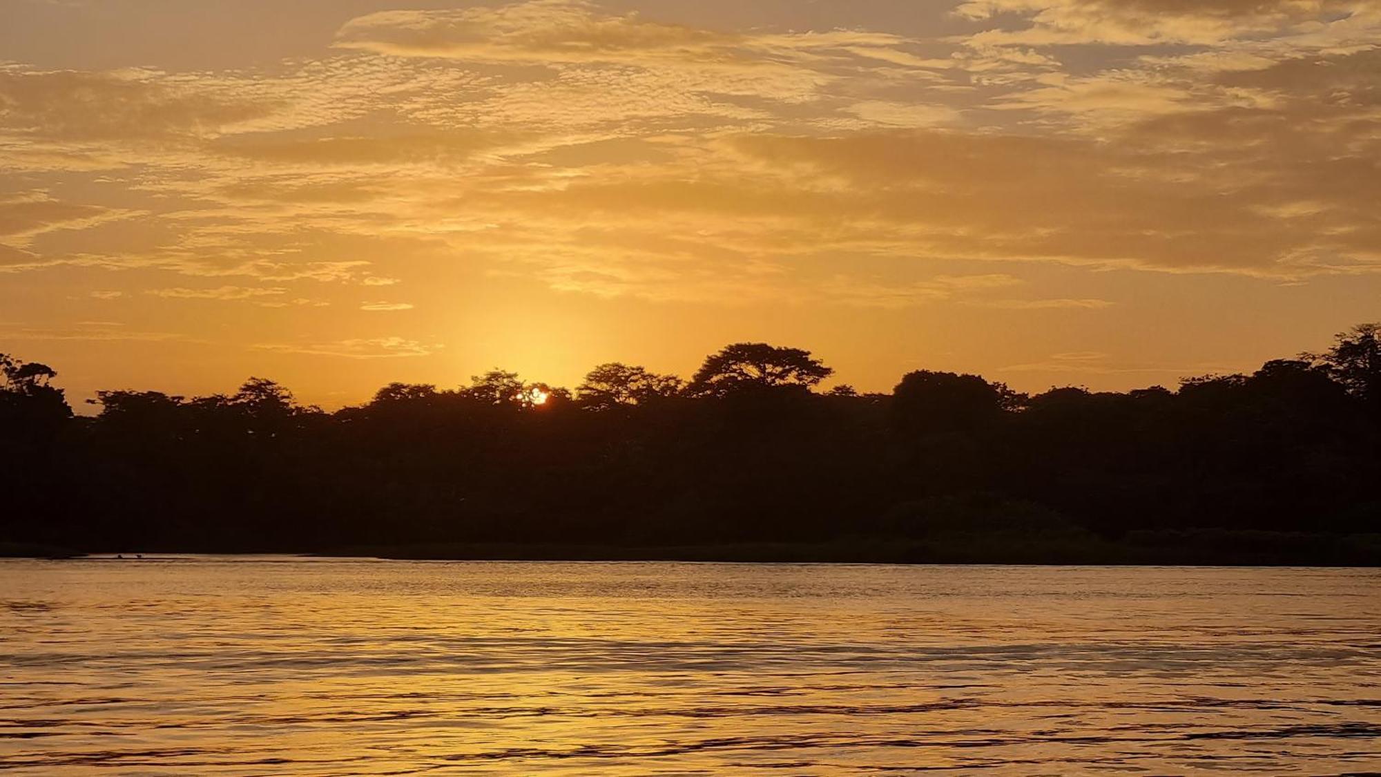 Hotel Wildlife Art Tortuguero Exteriér fotografie