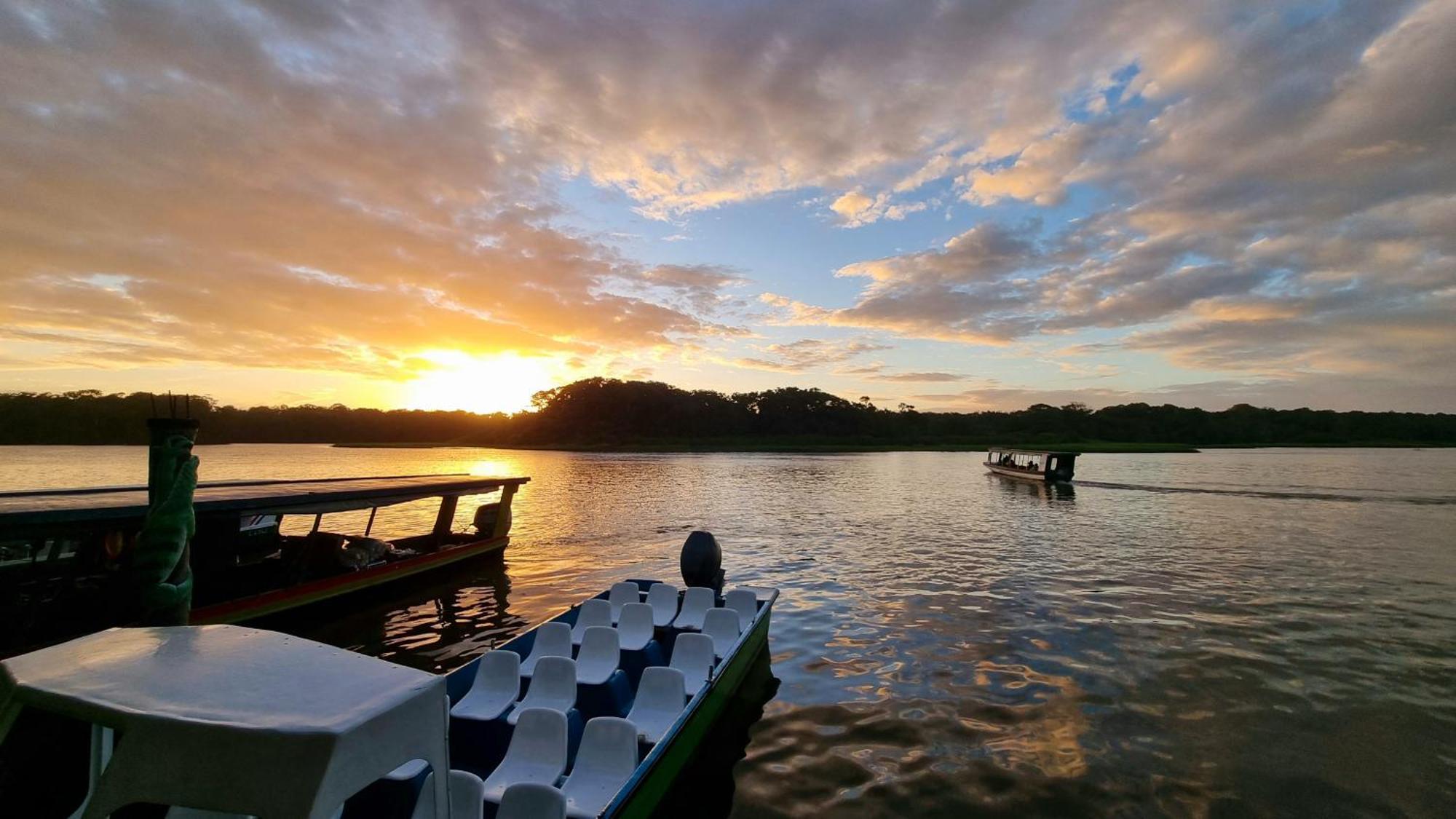 Hotel Wildlife Art Tortuguero Exteriér fotografie