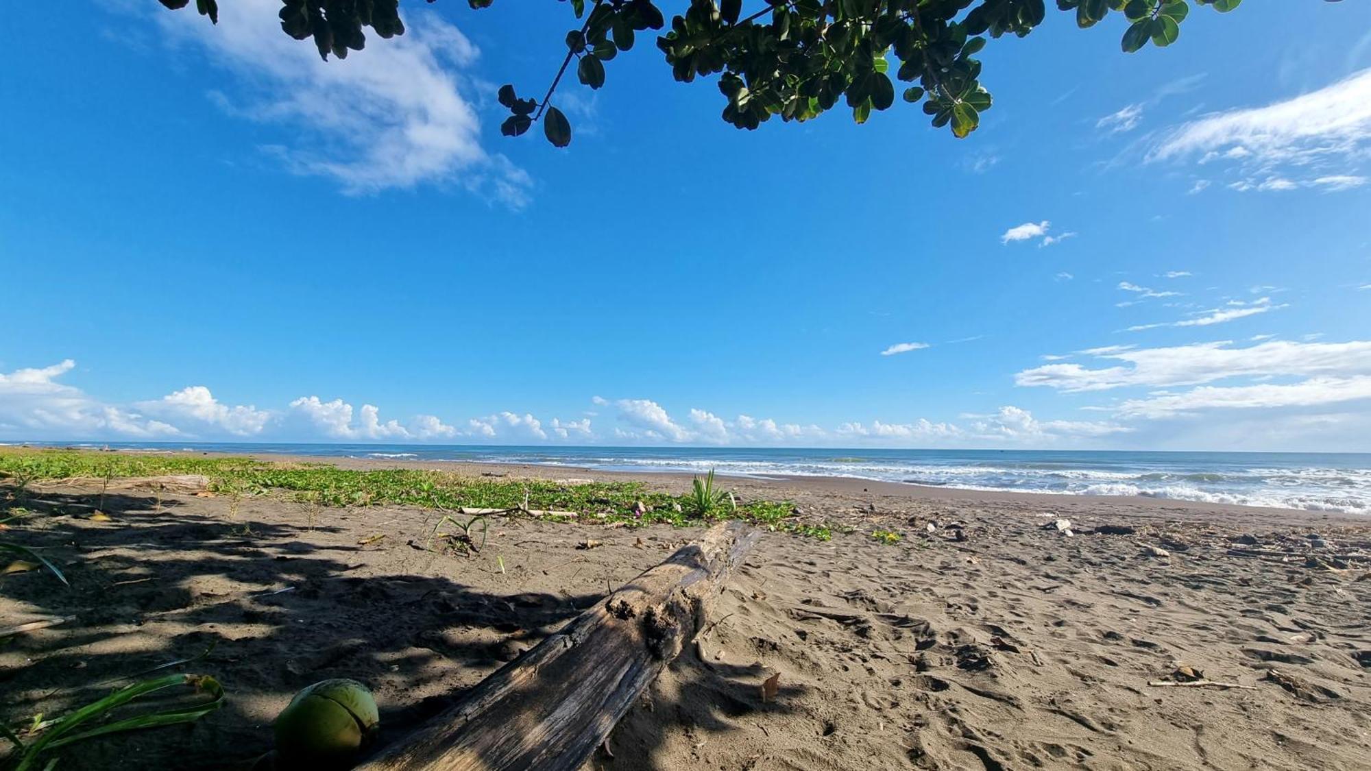 Hotel Wildlife Art Tortuguero Exteriér fotografie