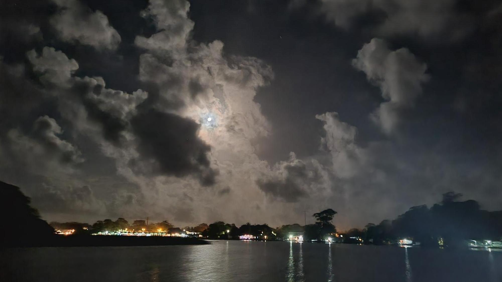 Hotel Wildlife Art Tortuguero Exteriér fotografie