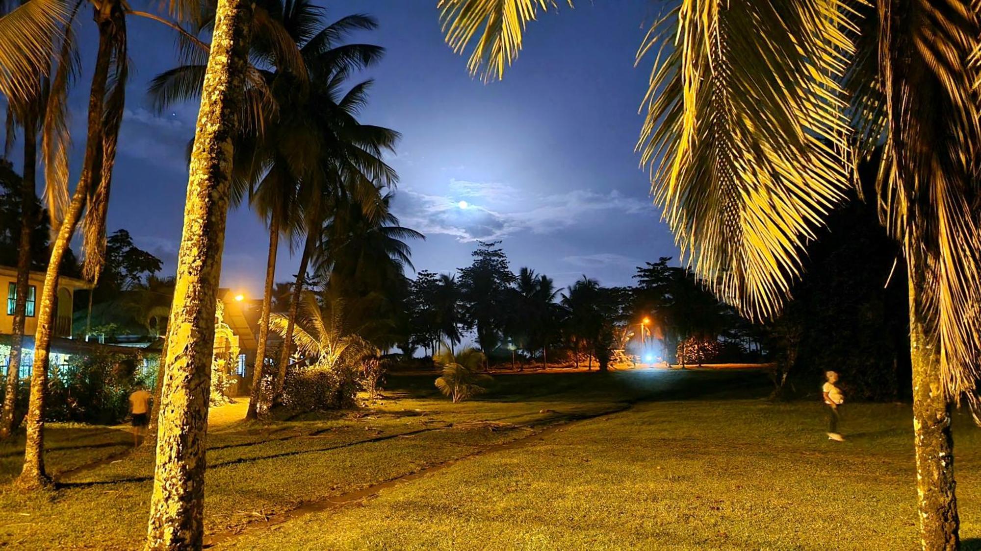 Hotel Wildlife Art Tortuguero Exteriér fotografie